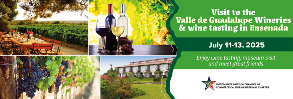 Visit to the Valle de Guadalupe Wineries & wine tasting in Ensenada 2025